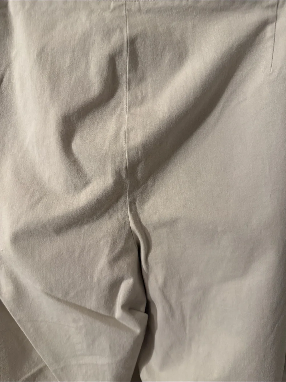 Talbots Woman Light Beige Chinos with side zip Sz 22W excellent condition
